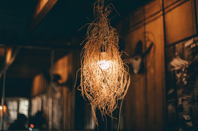 Fresh squeezed lemonade in a tall glass